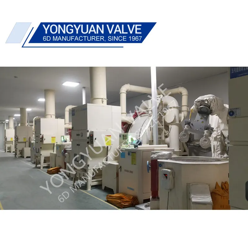 Xi Jinping သည် မကြာသေးမီက ရိုးရာအဆို့ရှင် ထုတ်လုပ်ရေး လုပ်ငန်းသို့ သွားရောက်ခဲ့သည်။